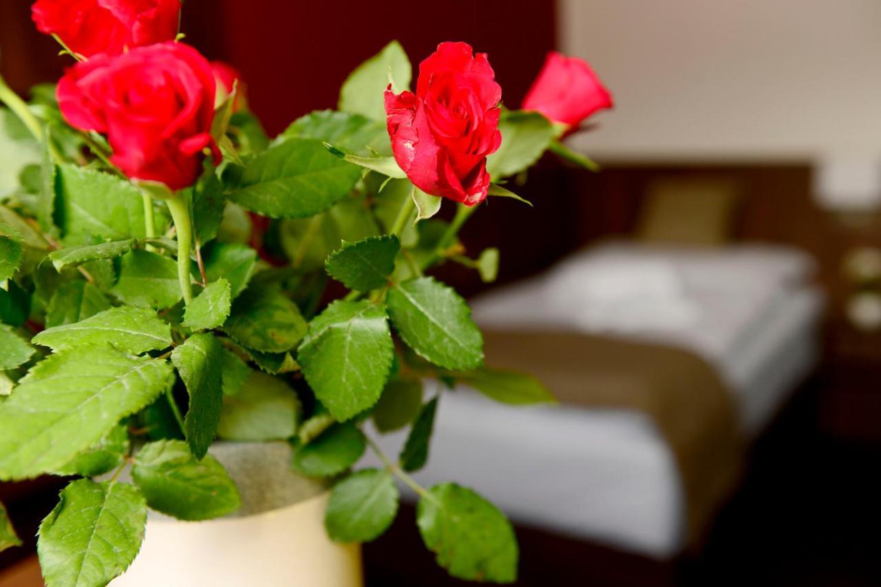 Hotel U Hada Zatec Kültér fotó